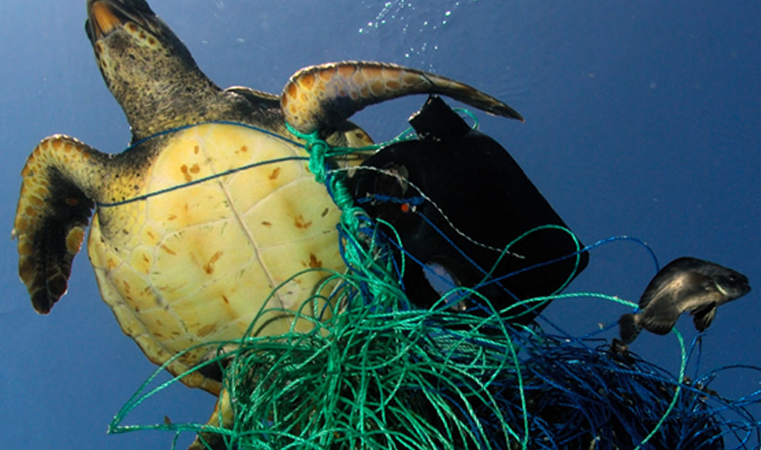 Μόλυνση θαλασσών από πλαστικά